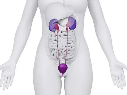 UTI Treatment Munster and Telehealth Consultations for Quick Care